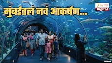 मुंबईमध्ये परदेशी स्टाइलचं मत्स्यालय... काचेच्या बोगद्यातून चालत पाहता येणार जलचर; कधी, कुठे सुरु होणार हे मत्स्यालय?