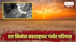एल निनोचा महाराष्ट्रासह भारतावर गंभीर परिणाम, अन्नधान्याची टंचाई जाणवणार, काय घडणार नेमकं? 
