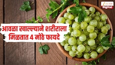 त्वचेपासून ते केसांपर्यंत... आवळा खाल्ल्याने शरीराला मिळतात 4 मोठे फायदे, पंतप्रधान मोदींनीही केला उल्लेख  