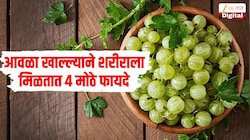 त्वचेपासून ते केसांपर्यंत... आवळा खाल्ल्याने शरीराला मिळतात 4 मोठे फायदे, पंतप्रधान मोदींनीही केला उल्लेख  