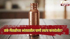 तांबे-पितळीच्या भांड्यातील पाणी खरंच फायदेशीर? काय आहे तथ्य, वाचा