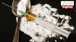 49 लाखांचा अंमली पदार्थांचा साठा पोलिसांकडून भस्मसात; 343 किलो गांजा-चरस, 499 कोडिन सिरपच्या बाटल्या नष्ट