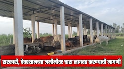 सरकारी आणि देवस्थानच्या जमीनीवर चारा लागवड करावी;  खासदार मोहिते पाटील यांनी सुचवला पर्याय