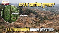 6235 झाडांची कत्तल? नशिकमध्ये 155 एकरांवर जंगलतोड? केंद्र सरकारची मंजुरी, पण जंगल तोडून इथं करणार काय? नेमका प्लॅन काय?