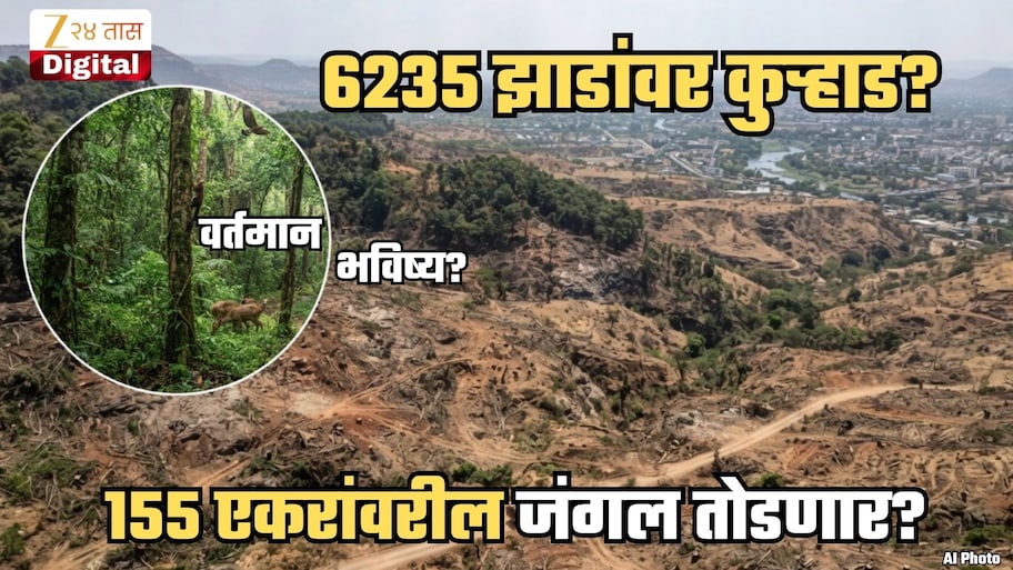 6235 झाडांची कत्तल? नशिकमध्ये 155 एकरांवर जंगलतोड? केंद्र सरकारची मंजुरी, पण जंगल तोडून इथं करणार काय? नेमका प्लॅन काय?