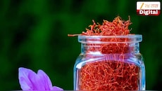 केशर घेताना फसू नका! या टिप्सने ओळखा खरे आणि नकली केशर