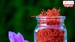 केशर घेताना फसू नका! या टिप्सने ओळखा खरे आणि नकली केशर