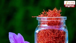 केशर घेताना फसू नका! या टिप्सने ओळखा खरे आणि नकली केशर