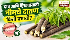दातांचे आरोग्य राखण्यासाठी नीमचे दातण किती उपयुक्त? जाणून घ्या फायदे आणि तोटे