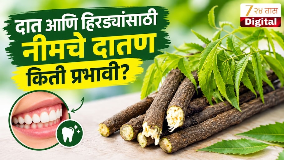 दातांचे आरोग्य राखण्यासाठी नीमचे दातण किती उपयुक्त? जाणून घ्या फायदे आणि तोटे