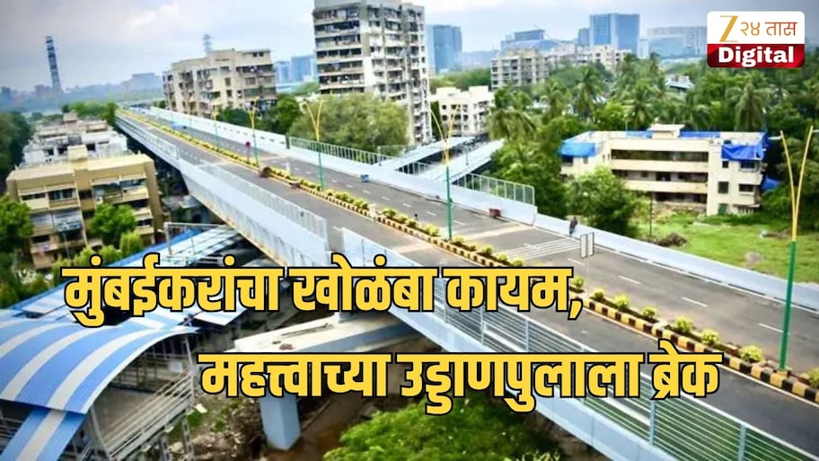 मुंबईकरांचा खोळंबा कायम, महत्त्वाच्या उड्डाणपुलाला ब्रेक; कारण आलं समोर