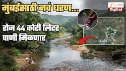 रोज 44 कोटी लिटर पाणी... मुंबईकरांचं टेन्शन मिटवणारं 'आठवं' धरण; जाणून घ्या लोकेशन, कसं आणि कधीपर्यंत बांधून होणार?
