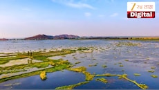 जगातील एकमेव तरंगणारं राष्ट्रीय उद्यान भारतात! जाणून घ्या या अनोख्या ठिकाणाविषयी