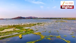 जगातील एकमेव तरंगणारं राष्ट्रीय उद्यान भारतात! जाणून घ्या या अनोख्या ठिकाणाविषयी