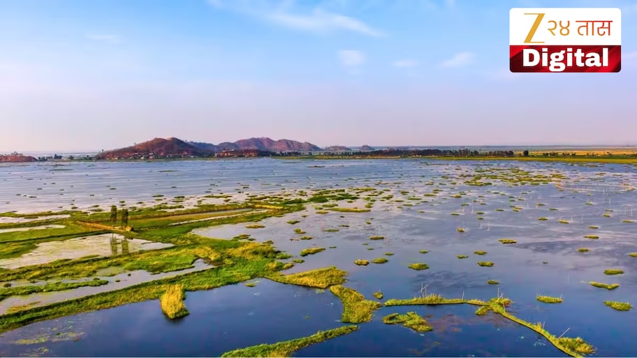 जगातील एकमेव तरंगणारं राष्ट्रीय उद्यान भारतात! जाणून घ्या या अनोख्या ठिकाणाविषयी