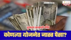एफडी, पीपीएफ की इतर? कशामध्ये मिळतो सर्वाधिक व्याज! कोणती गुंतवणूक फायद्याची?
