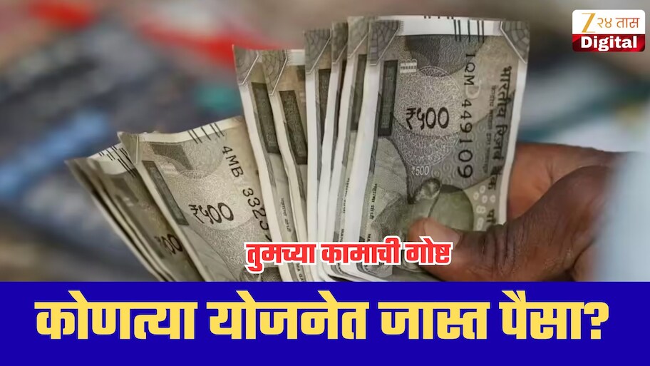 एफडी, पीपीएफ की इतर? कशामध्ये मिळतो सर्वाधिक व्याज! कोणती गुंतवणूक फायद्याची?