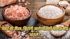 पांढरे की सैंधव, निरोगी आरोग्यासाठी कोणते मीठ चांगले? तज्ज्ञ काय सांगतात, वाचाच