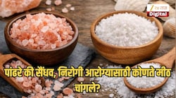 पांढरे की सैंधव, निरोगी आरोग्यासाठी कोणते मीठ चांगले? तज्ज्ञ काय सांगतात, वाचाच