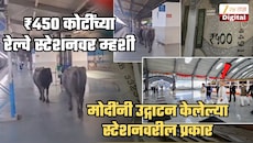 PM मोदींनी उद्घाटन केलेल्या ₹450 कोटींच्या रेल्वे स्टेशनच्या प्लॅटफॉर्मवर म्हशींचा फेरफटका; Video तुफान व्हायरल