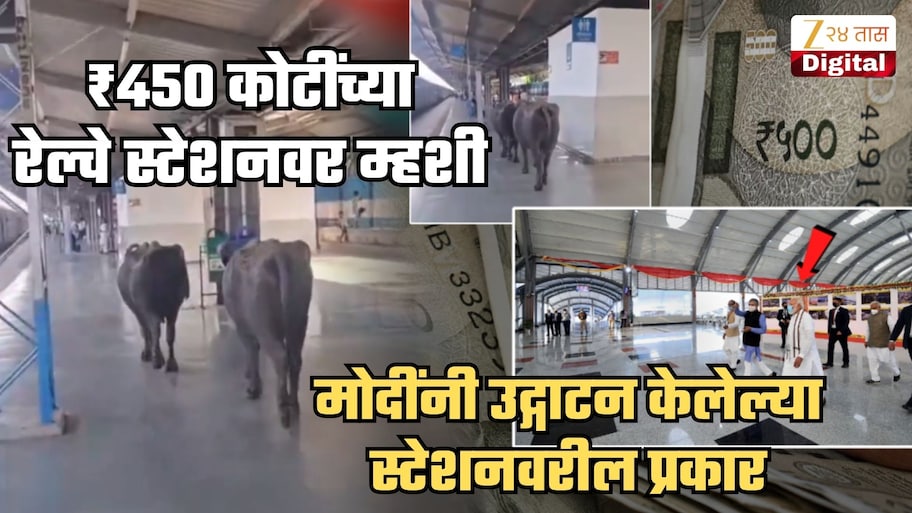 PM मोदींनी उद्घाटन केलेल्या ₹450 कोटींच्या रेल्वे स्टेशनच्या प्लॅटफॉर्मवर म्हशींचा फेरफटका; Video तुफान व्हायरल