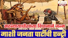 आधी ‘कॉकरोच’, आता ‘माशी’ची एन्ट्री! सरन्यायाधीशांच्या एका वाक्याने जन्माला आली नवी पार्टी; 72 तासांत लाखो फॉलोअर्स
