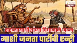 आधी ‘कॉकरोच’, आता ‘माशी’ची एन्ट्री! सरन्यायाधीशांच्या एका वाक्याने जन्माला आली नवी पार्टी; 72 तासांत लाखो फॉलोअर्स