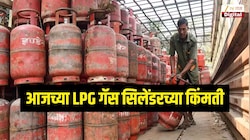 देशातील 'या' शहरात मिळतोय सर्वात स्वस्त LPG गॅस सिलेंडर, जाणून घ्या आजचा घरगुती आणि व्यावसायिक  LPG गॅस सिलेंडरचा भाव