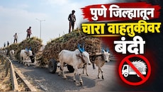 पुणे जिल्ह्यातून चारा वाहतुकीवर बंदी