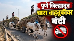 पुणे जिल्ह्यातून चारा वाहतुकीवर बंदी