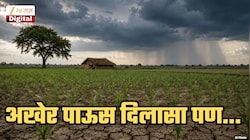 आता लक्ष 12 नोव्हेंबरकडे कारण... 'या' ठिकाणी तर कसर भरल्यानंतरही धो-धो कोसळणार; हवामान खात्याकडून Good News