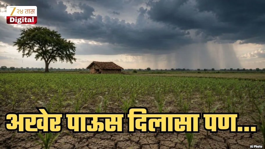आता लक्ष 12 नोव्हेंबरकडे कारण... 'या' ठिकाणी तर कसर भरल्यानंतरही धो-धो कोसळणार; हवामान खात्याकडून Good News