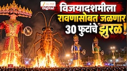 विजयादशमीला रावणासोबत होणार झुरळ दहन, अनोखी परंपरा की राजकीय हेतू? आयोजकांनी स्पष्टच सांगितलं