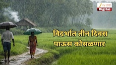 हवामान फिरले! तापमानात घट होणार, विदर्भात तीन दिवस पाऊस कोसळणार