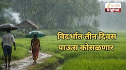 हवामान फिरले! तापमानात घट होणार, विदर्भात तीन दिवस पाऊस कोसळणार