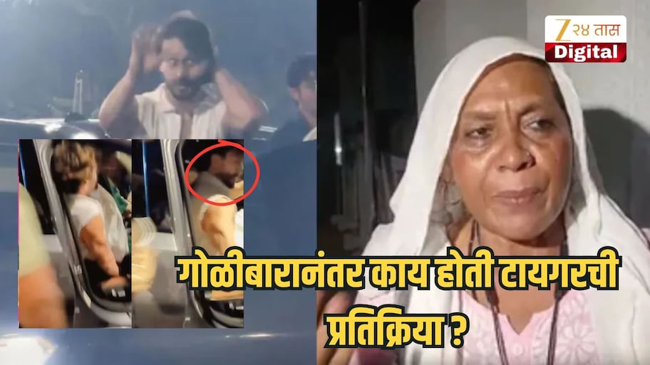 'रक्तबंबाळ झालेला ड्रायव्हर'; गोळीबार झाल्यानंतर काय होती टायगरची प्रतिक्रिया, प्रत्यक्षदर्शीने सांगितलं काय घडलं?