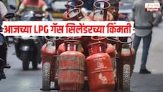तुमच्या शहरात किती आहे LPG गॅस सिलेंडरच्या किंमती? जाणून घ्या घरगुती आणि व्यावसायिक सिलेंडरचे ताजे रेट्स