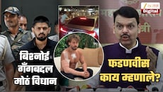 टायगरवरील हल्ल्यामुळे बिश्नोई गँगची दहशत वाढली? फडणवीस स्पष्टच बोलले, 'गँगला घाबरण्याचं कारण नाही, डरपोक लोकांचं...'