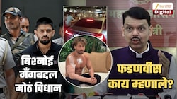 टायगरवरील हल्ल्यामुळे बिश्नोई गँगची दहशत वाढली? फडणवीस स्पष्टच बोलले, 'गँगला घाबरण्याचं कारण नाही, डरपोक लोकांचं...'