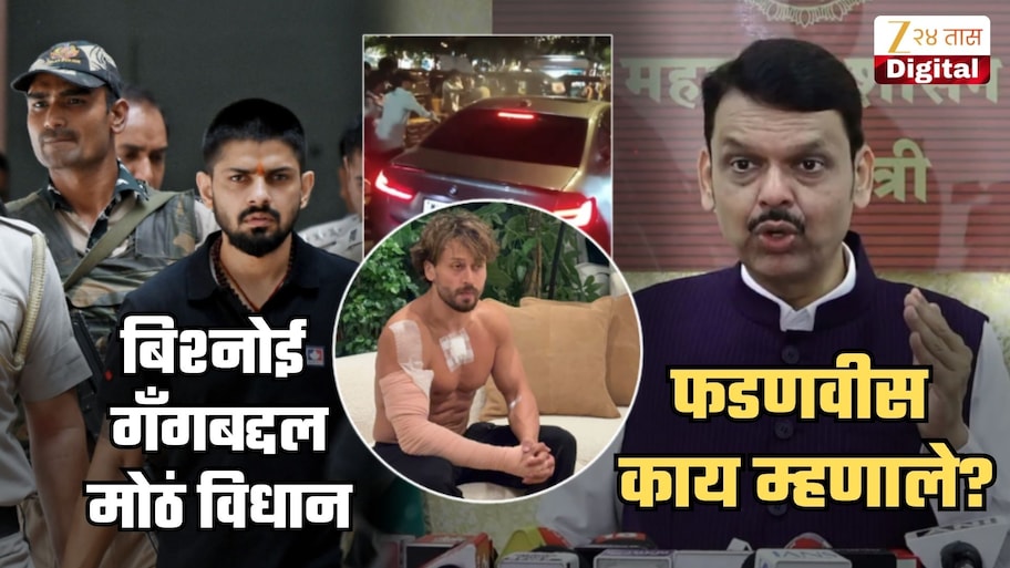 टायगरवरील हल्ल्यामुळे बिश्नोई गँगची दहशत वाढली? फडणवीस स्पष्टच बोलले, 'गँगला घाबरण्याचं कारण नाही, डरपोक लोकांचं...'