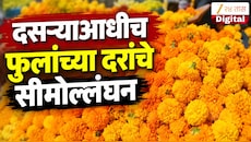 VIDEO : दसऱ्याआधीच फुलांचे दर वाढले