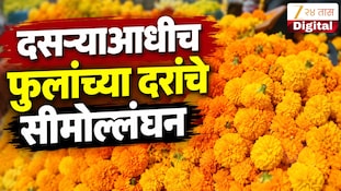 VIDEO : दसऱ्याआधीच फुलांचे दर वाढले