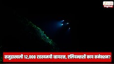 एलियनच्या अस्तित्वाबाबतचा सर्वात मोठा पुरावा? महासागराच्या तळाशी सापडले 12,000 रहस्यमयी व्हायरस, शास्त्रज्ञ थक्क