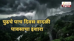 कोकणातील 'या' जिल्ह्यांत पुढचे पाच दिवस वादळी पावसाचा इशारा, असे असेल हवामान