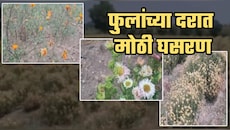 दसऱ्याच्या मुहूर्तावरही फुलांच्या दरात मोठी घसरण! शेतकरी अडचणीत