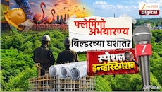 ठाण्यात फ्लेमिंगो अभयारण्य बिल्डरच्या घशात? 143 एकर जागा संवेदनशील क्षेत्रातून वगळणार?