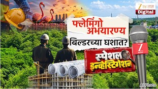 ठाण्यात फ्लेमिंगो अभयारण्य बिल्डरच्या घशात? 143 एकर जागा संवेदनशील क्षेत्रातून वगळणार?