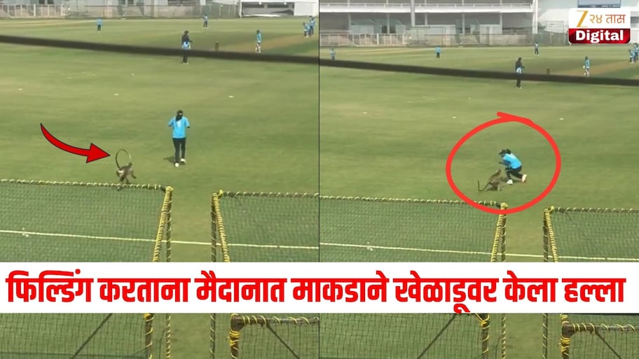 फिल्डिंग करताना मैदानात माकडाने खेळाडूवर केला हल्ला, सर्वांची उडाली घाबरगुंडी, Video Viral