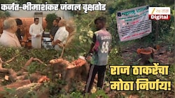 कर्जत-भीमाशंकर जंगलात बेसुमार वृक्षतोड झाल्याचं समजताच राज ठाकरेंचा मोठा निर्णय! परवा थेट जिथं झाडं कापली तिथं जाऊन...