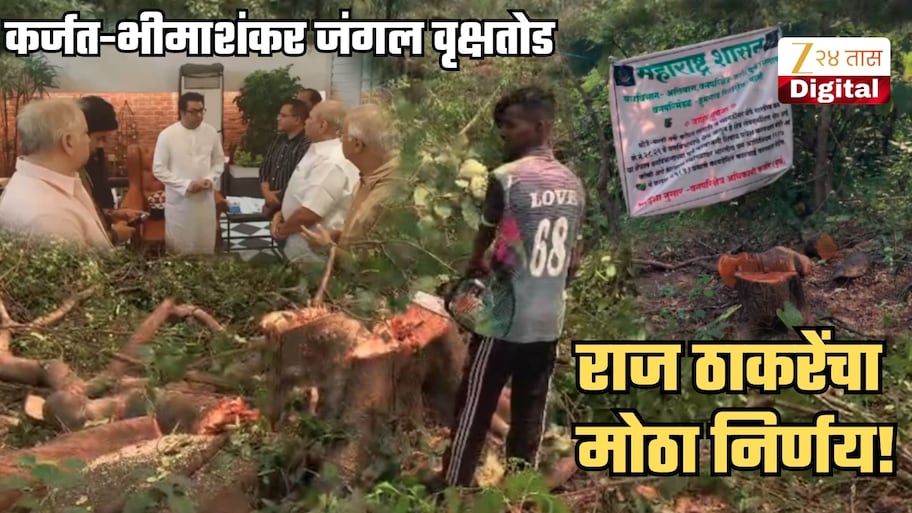कर्जत-भीमाशंकर जंगलात बेसुमार वृक्षतोड झाल्याचं समजताच राज ठाकरेंचा मोठा निर्णय! परवा थेट जिथं झाडं कापली तिथं जाऊन...